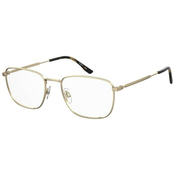 Pierre Cardin P.C.6893 J5G