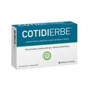 Cotidierbe
