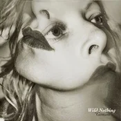 Wild Nothing - Gemini (Reissue) (LP)