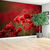 tulup.si Stenska fototapeta Mak cvetje Tapeta 416x254 cm