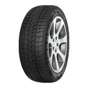 Minerva Frostrack UHP ( 255/30 R19 91V XL )