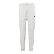 Reebok Sport Športne hlače Workout Ready, siva