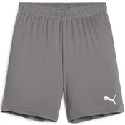 Puma Kratke hlače teamGOAL Shorts Jr