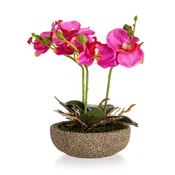 HOME DECOR Fuksija v betonskem loncu 21,5x14 cm, komplet 2