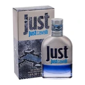 ROBERTO CAVALLI Mens Perfume Roberto Cavalli EDT