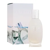 New Brand Parfums Exceed Frozen toaletna voda 100 ml za moške