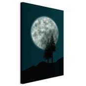 shumee Slika - Čudovita polna luna (1-delna) navpična