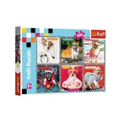 Trefl Puzzle Veseli psi 200 kosov