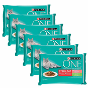 PURINA ONE STERILCAT s puranom in stročjim fižolom v soku in z lososom in korenjem v soku 24x85 g