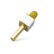Technaxx BT-X31 Karaoke microphone Gold,White