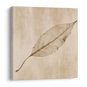 Slika minimalističen list v sepia slogu - 30x30