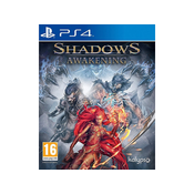 PS4 Shadows Awakening