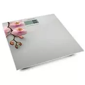 Esperanza EBS010 personal scale Electronic personal scale