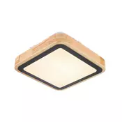 LED PLAFONJERA