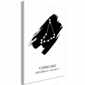 Slika - Zodiac Signs: Capricorn (1 Part) Vertical 60x90
