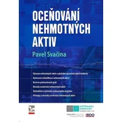 Oceňování nehmotných aktiv