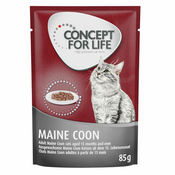 Concept for Life Maine Coon Adult Ragout - 48 x 85 g