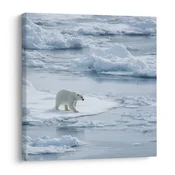 Slika zimsko kraljestvo ledenih površin - 20x20