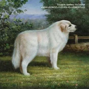 Douglas McCombs - VMAK<KOMBZ<<<DUGLAS<<6NDR7<<< (LP)