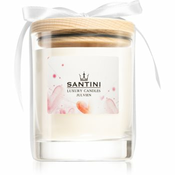 SANTINI Cosmetic Julvien mirisna svijeca 270 g