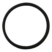 Oring Case IH 72702086 GRANITE 8603728 81296C1