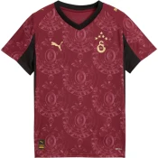 Dres Puma Galatasaray SK 3rd Jersey Replica w/o Sponsor 2025/26 Jr