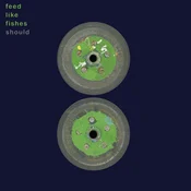 Should - Feed Like Fishes (Reissue) (Coloured) (2 LP)