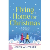 Flying Home for Christmas
