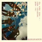 Bananagun - Why Is The Colour Of The Sky? (Coloured) (LP)