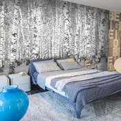 Foto tapeta - Birch seclusion 200x154