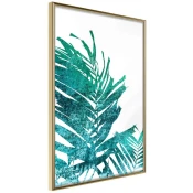 Poster - Teal Palm on White Background 20x30