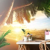 Fototapeta sončni vzhod na karibski plaži - 441x297