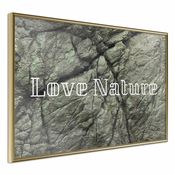 Poster - Nature 45x30
