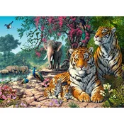 Castorland Sestavljanka 3000 kosov C-300600-2 Tiger Sanctuary