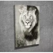 Wallity Dekorativna slika na platnu, 30x40cm, Šarena