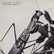 Courtney Barnett - Creature Of Habit (LP)