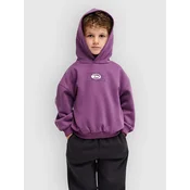 Quiksilver Tricks Boys Kids Hoodie grape jam