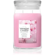 YC Signature Sveča Velika Enchanting Cherry Blossoms