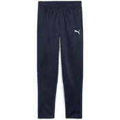Puma Hlače teamGOAL Training Pant Jr