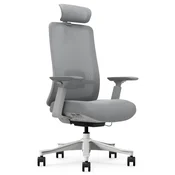 Ergonomski pisarniški stol Odyssey, siv
