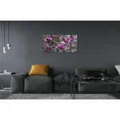 tulup.si Slika na akrilnem steklu Vijolična magnolija 100x50 cm 4 obešalnika
