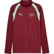 Puma Majica dugih rukava Switzerland Training 1/4 Zip Top