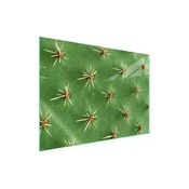 shumee Steklena zaščita za kuhalno ploščo 70x52 Cactus
