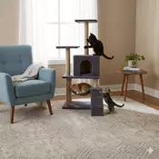 Paws & Whiskers Kucica za macke, Antracit