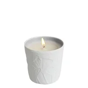 Le Jardin Retrouve Russian Leather Candle