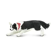 Safari Border Collie