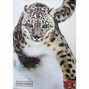 Zvezek A4 Animal