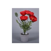 Cvet MÁK SUMMER X5 aranžma 4 cvetov v lončku 32cm