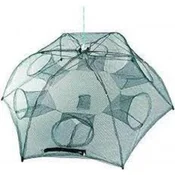 Filex Cerenac, 6 rupa
