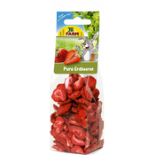 JR FARM SUŠENE JAGODE 20G